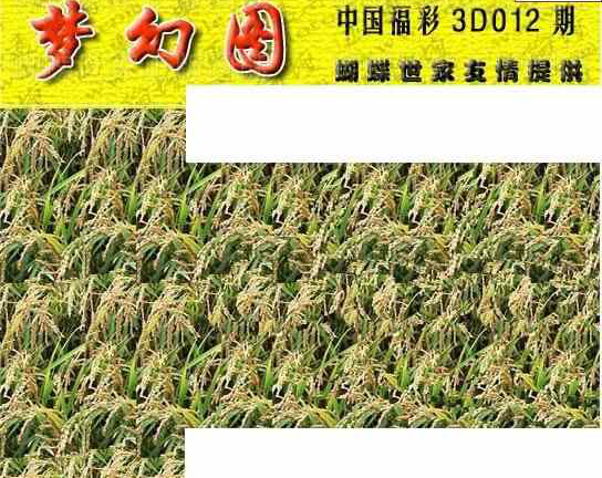 24012期: 3D蝴蝶世家蝴蝶彩图