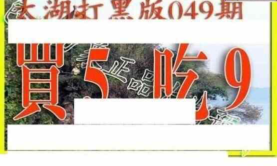24049期: 太湖图福彩3D精品预测