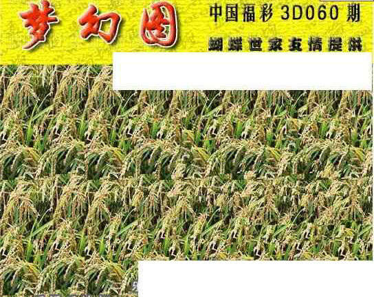 24060期: 3D蝴蝶世家蝴蝶彩图