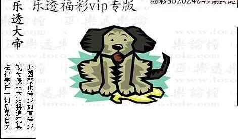 24049期: 3D蝴蝶世家蝴蝶彩图