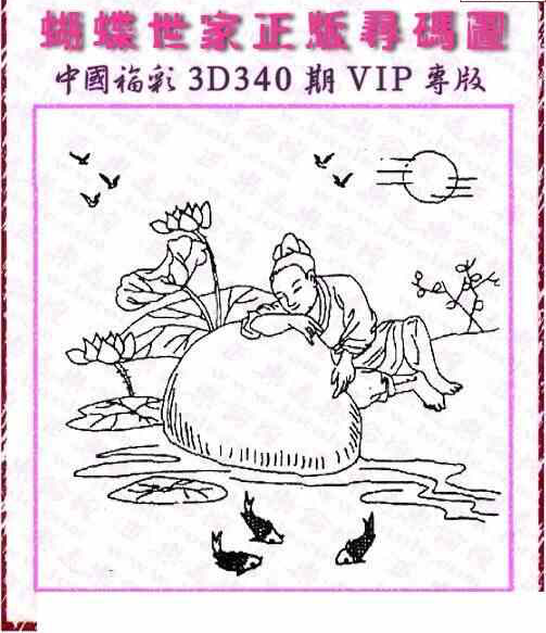 23340期: 3D蝴蝶世家蝴蝶彩图