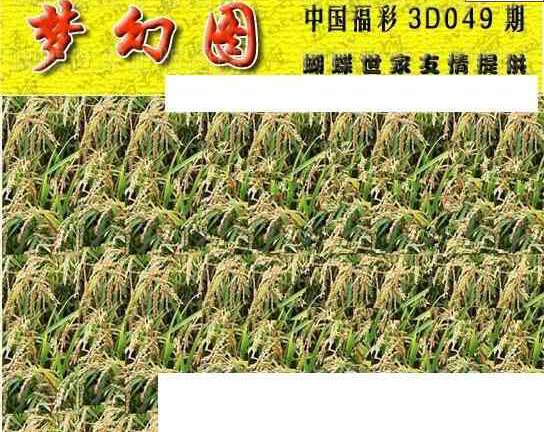 24049期: 3D蝴蝶世家蝴蝶彩图