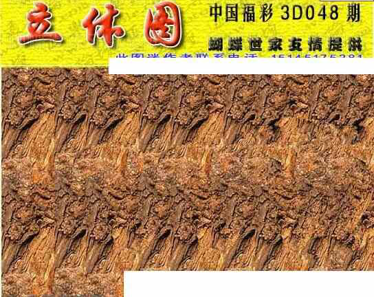 24048期: 3D蝴蝶世家蝴蝶彩图