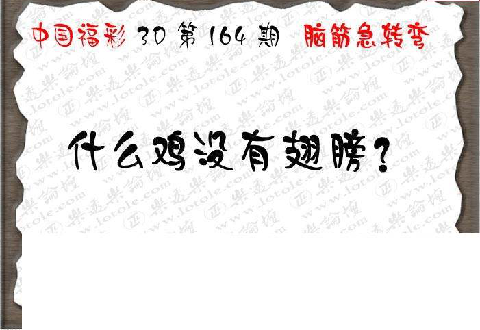 23164期: 3D蝴蝶世家蝴蝶彩图