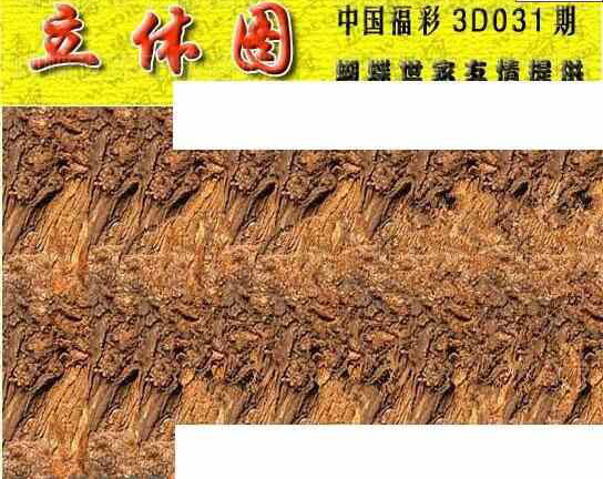 24031期: 3D蝴蝶世家蝴蝶彩图