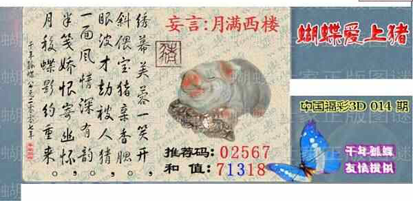 24014期: 3D蝴蝶世家蝴蝶彩图