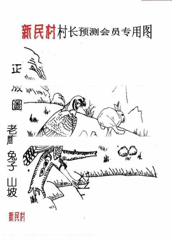 24021期: 老村长福彩3D天天图谜