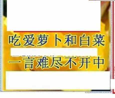 24020期: 三毛3D精品图谜