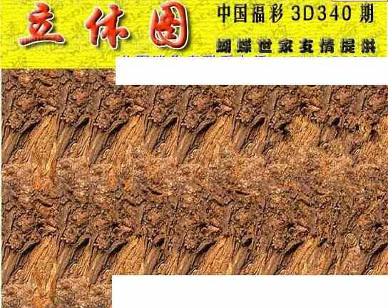 23340期: 3D蝴蝶世家蝴蝶彩图