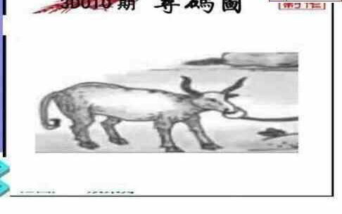 24010期: 三毛3D精品图谜