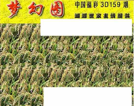 23159期: 3D蝴蝶世家蝴蝶彩图