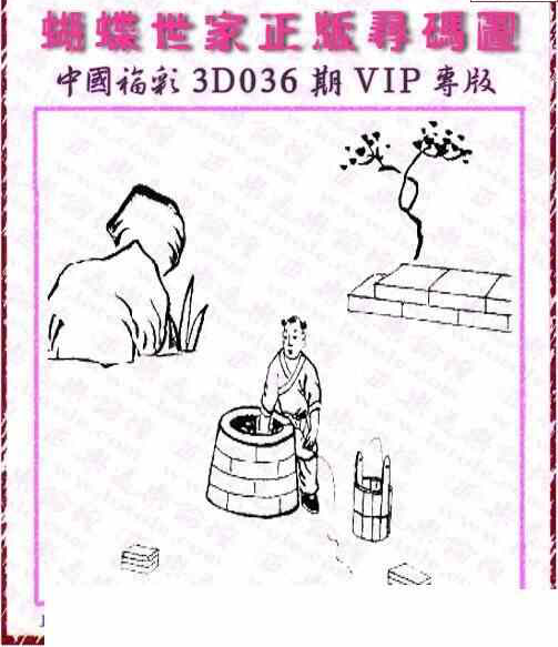 24036期: 3D蝴蝶世家蝴蝶彩图