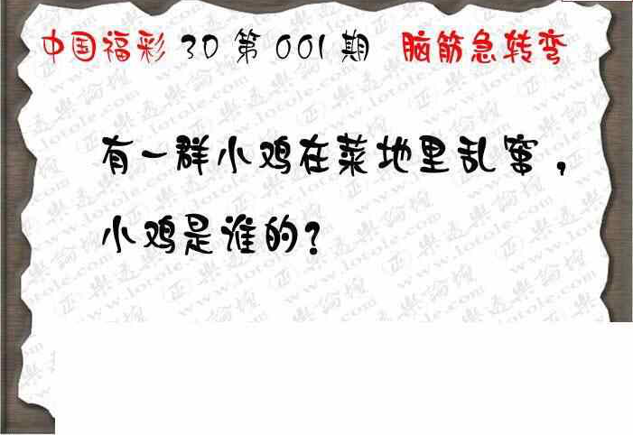 24001期: 3D蝴蝶世家蝴蝶彩图