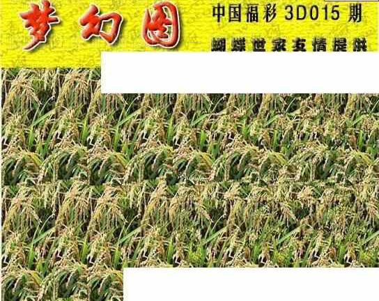 24015期: 3D蝴蝶世家蝴蝶彩图