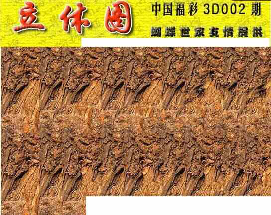 24002期: 3D蝴蝶世家蝴蝶彩图