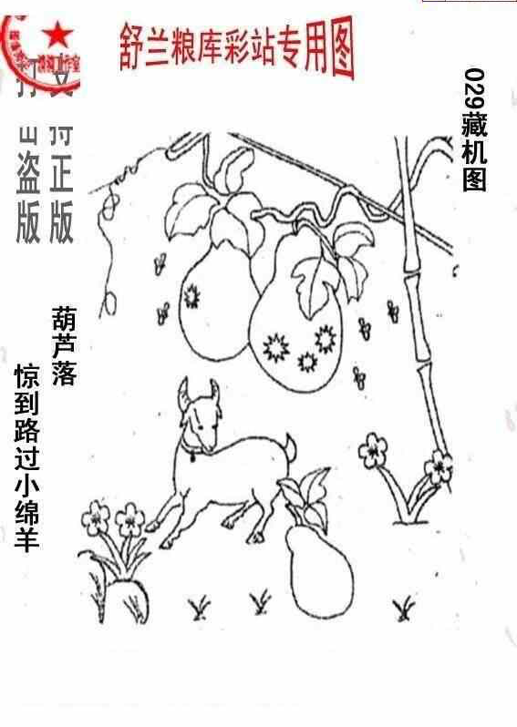 24029期: 老村长福彩3D天天图谜