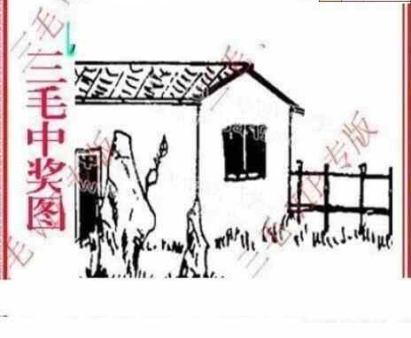 24020期: 三毛3D精品图谜