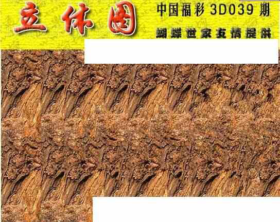 24039期: 3D蝴蝶世家蝴蝶彩图