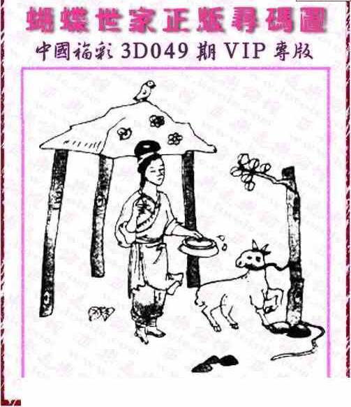 24049期: 3D蝴蝶世家蝴蝶彩图