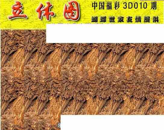 24010期: 3D蝴蝶世家蝴蝶彩图