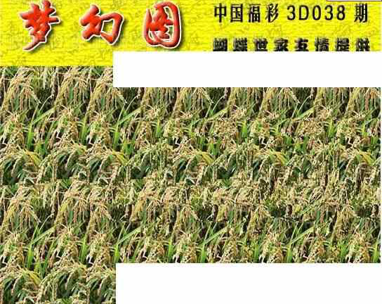 24038期: 3D蝴蝶世家蝴蝶彩图