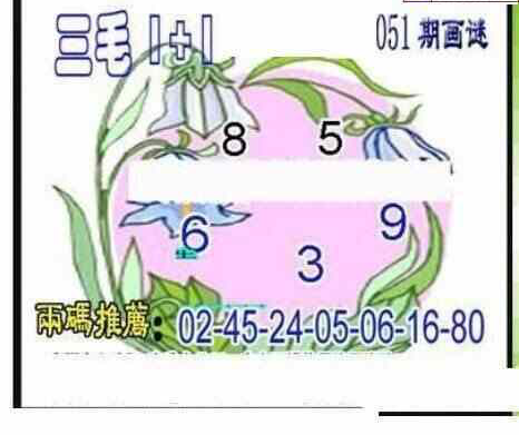 24051期: 三毛3D精品图谜