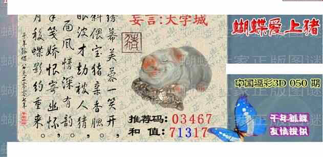 24050期: 3D蝴蝶世家蝴蝶彩图