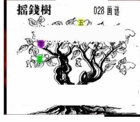 24028期: 三毛3D精品图谜