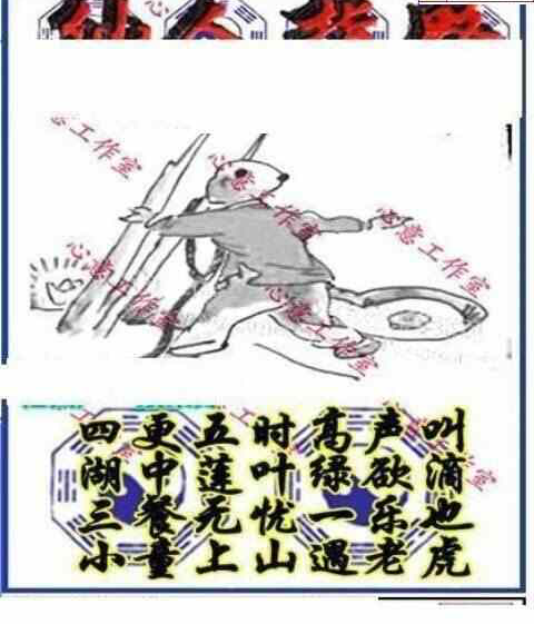 24050期: 三毛3D精品图谜