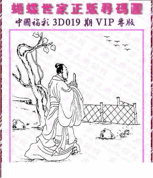 24019期: 3D蝴蝶世家蝴蝶彩图