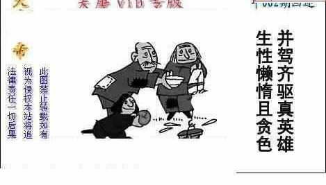 24062期: 白老3D杀码图版