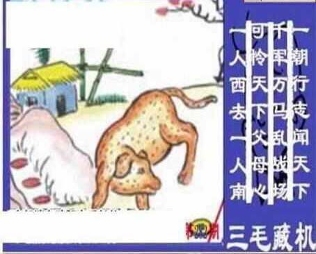 23282期: 三毛3D精品图谜