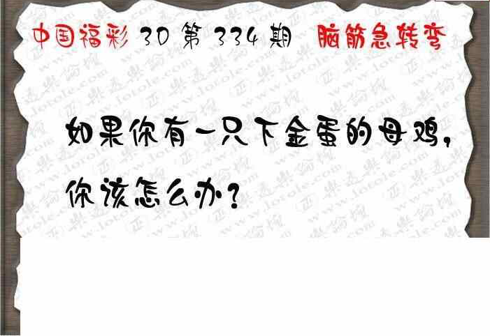 23334期: 3D蝴蝶世家蝴蝶彩图