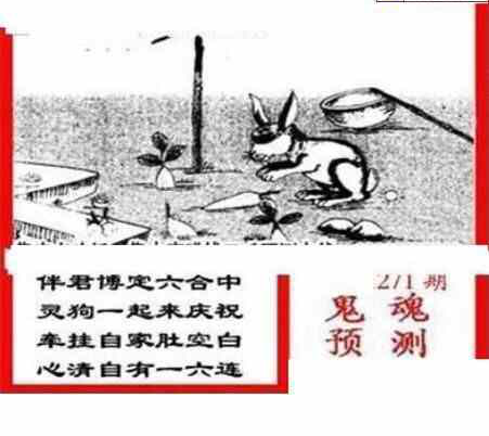 23271期: 三毛3D精品图谜