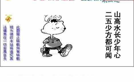 23305期: 白老3D杀码图版