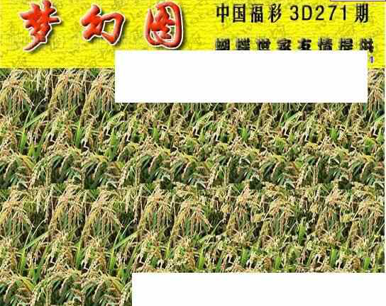 23271期: 3D蝴蝶世家蝴蝶彩图