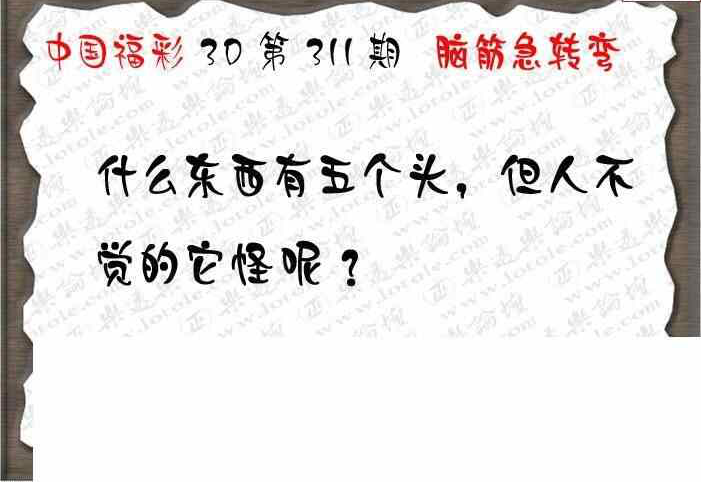 23311期: 3D蝴蝶世家蝴蝶彩图