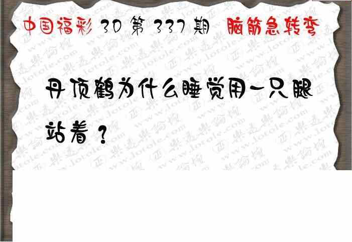 23337期: 3D蝴蝶世家蝴蝶彩图