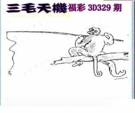 23329期: 三毛3D精品图谜