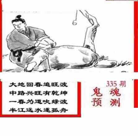 23335期: 三毛3D精品图谜