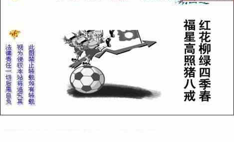 23321期: 白老3D杀码图版