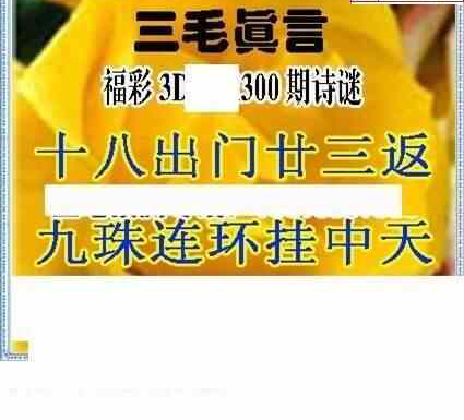 23300期: 三毛3D精品图谜