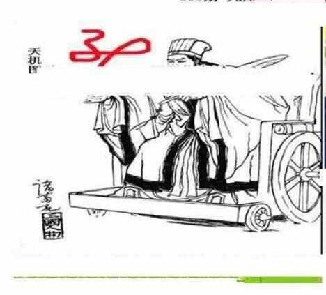 23305期: 三毛3D精品图谜