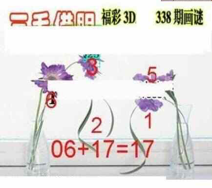 23338期: 三毛3D精品图谜