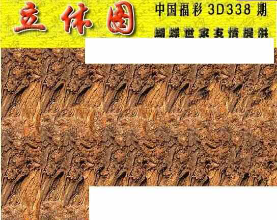 23338期: 3D蝴蝶世家蝴蝶彩图