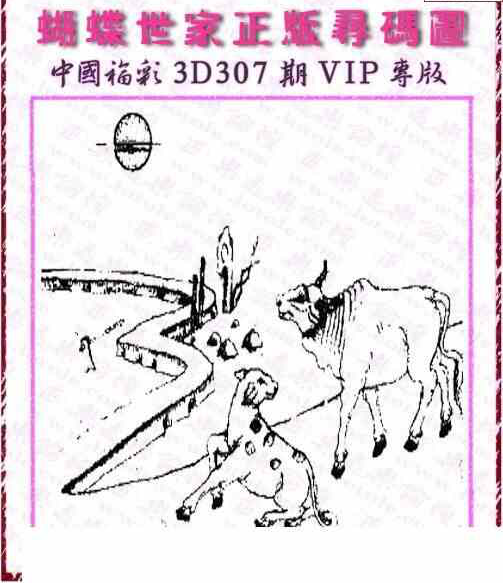 23307期: 3D蝴蝶世家蝴蝶彩图