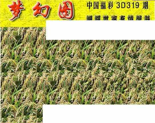 23319期: 3D蝴蝶世家蝴蝶彩图