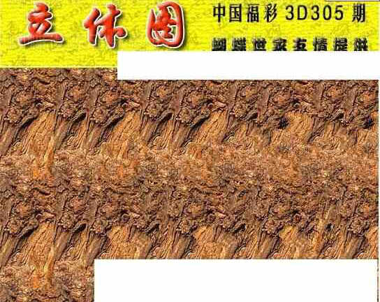 23305期: 3D蝴蝶世家蝴蝶彩图