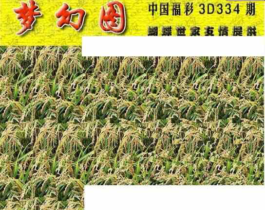 23334期: 3D蝴蝶世家蝴蝶彩图