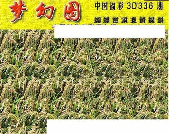 23336期: 3D蝴蝶世家蝴蝶彩图